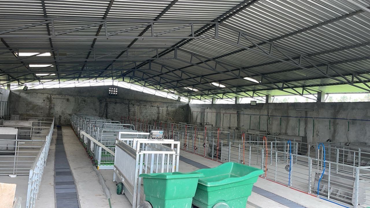L’allée du bâtiment d’élevage de la ferme