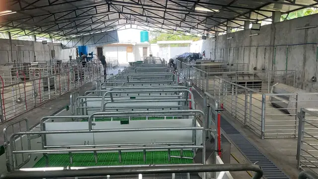 Vue des cases et des caillebotis verts dans le bâtiment SmartFarm